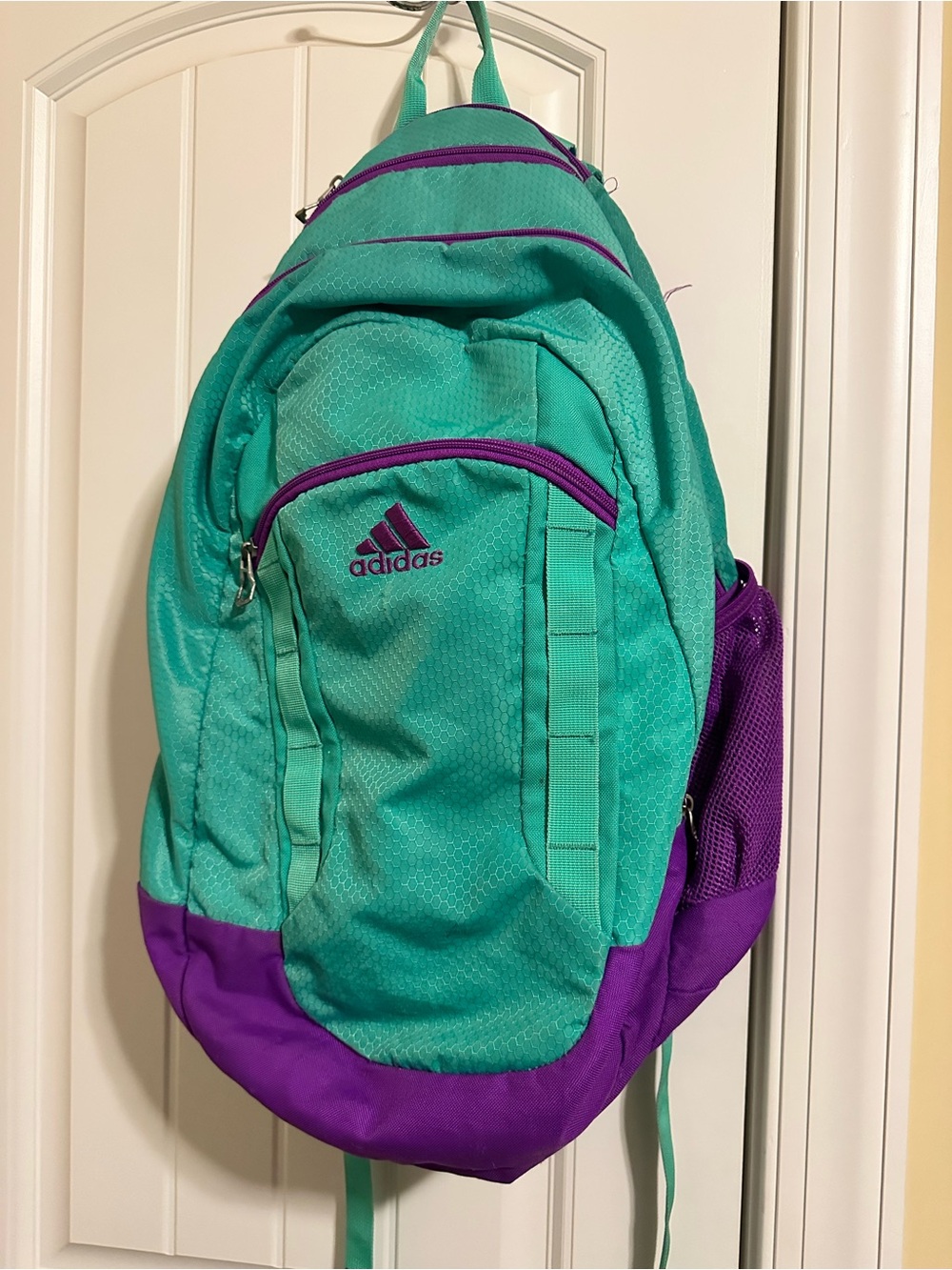 adidas Teal and Purple School Backpack